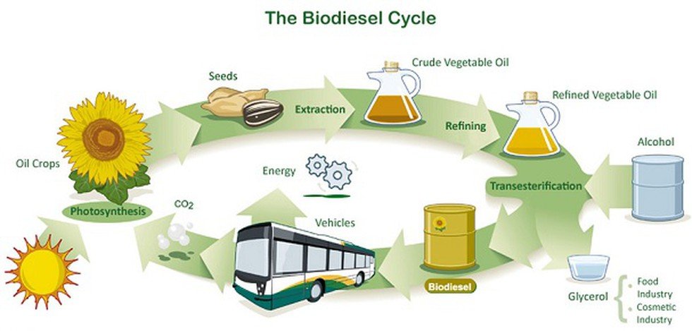 biodiesel