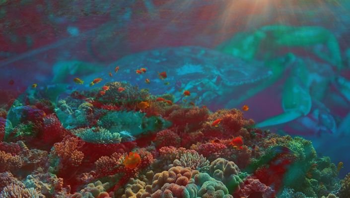 Ocean