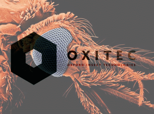 Oxitec