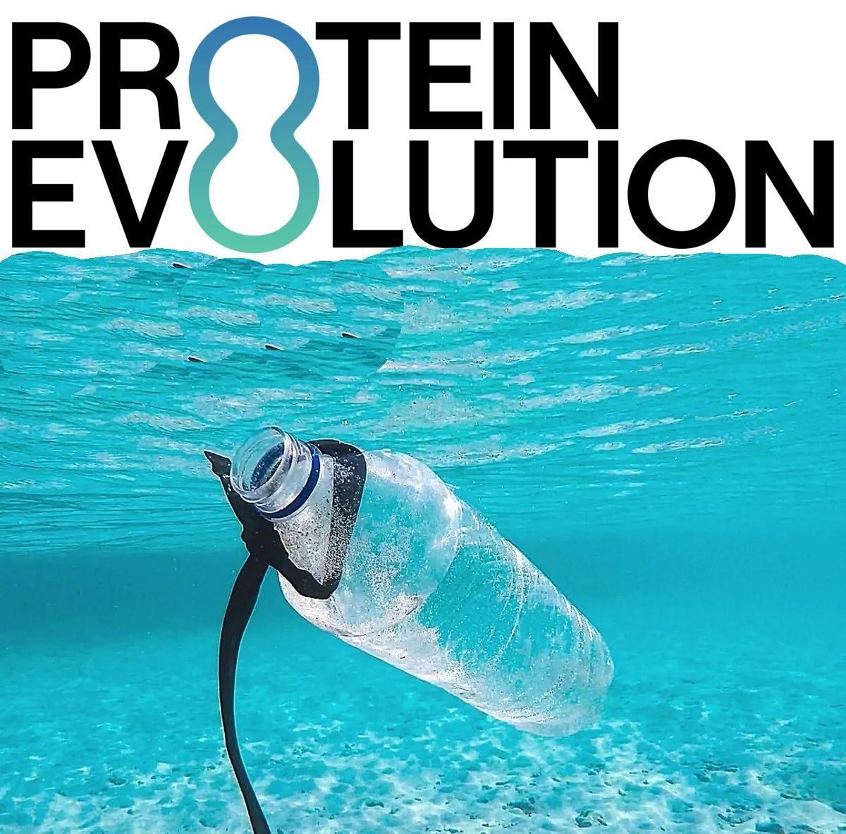 Protein Evolution's New Technology Can Recycle Plastic Waste Indefinitely