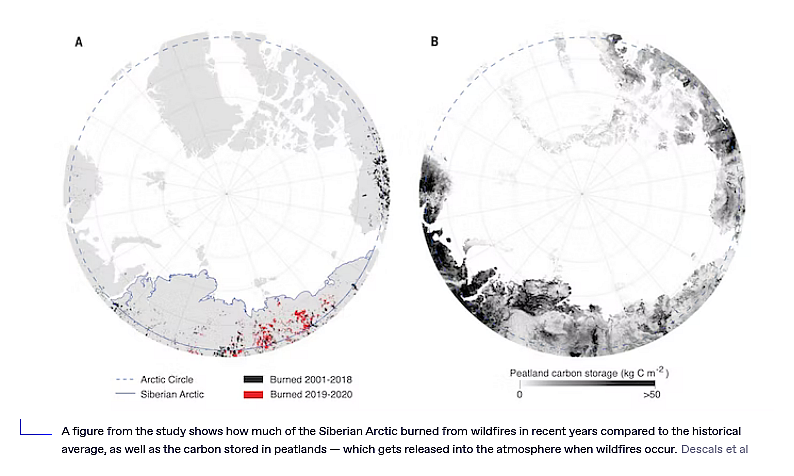 Arctic