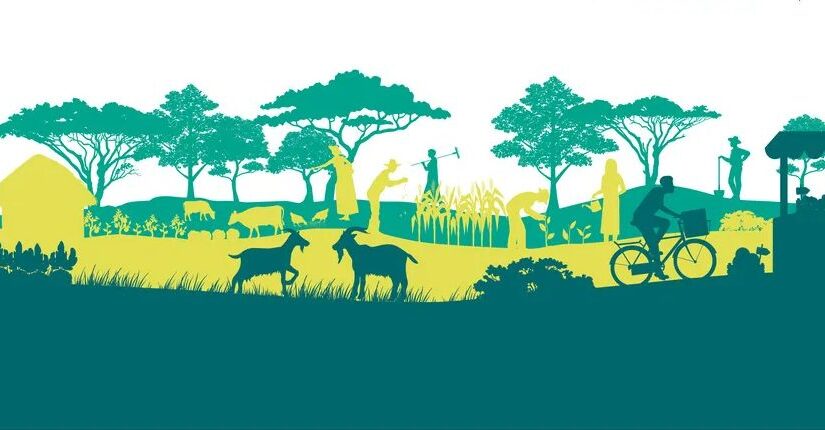 Agroecology: A Necessary Alternative to Industrial Agriculture