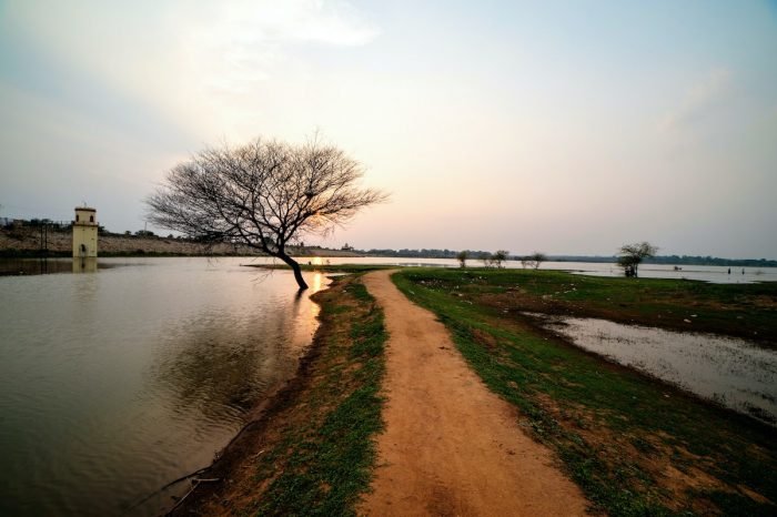 The Indian government has designated grasslands as wastelands...