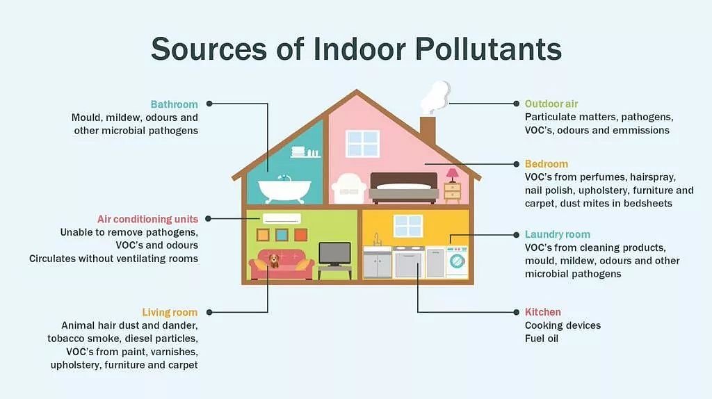 Switching From Gas to Induction Stoves Leads to Major Drop in Indoor Air  Pollution in Bronx Pilot Program - EcoWatch