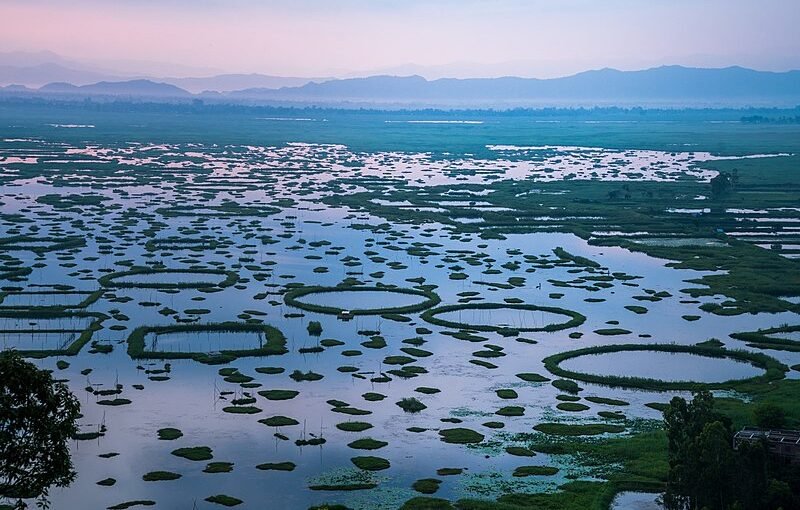 Can Loktak Lake's Floating Islands Be Saved?