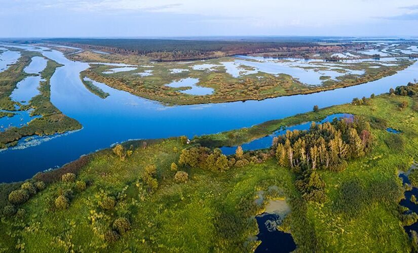 wetland