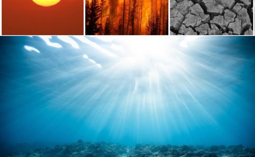 Climate Change Evidence Is Staring At Us In The Face…