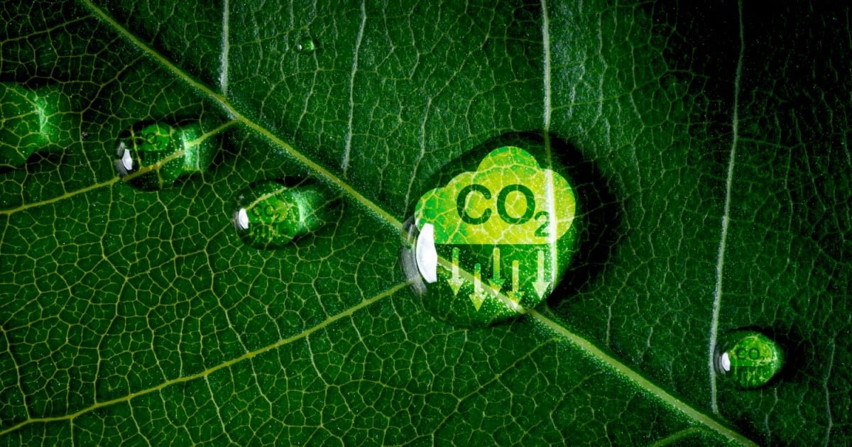 Schneider Electric has launched Catalyze