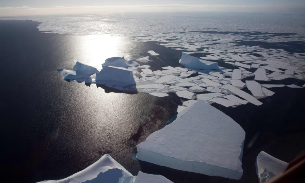 Antarctic
