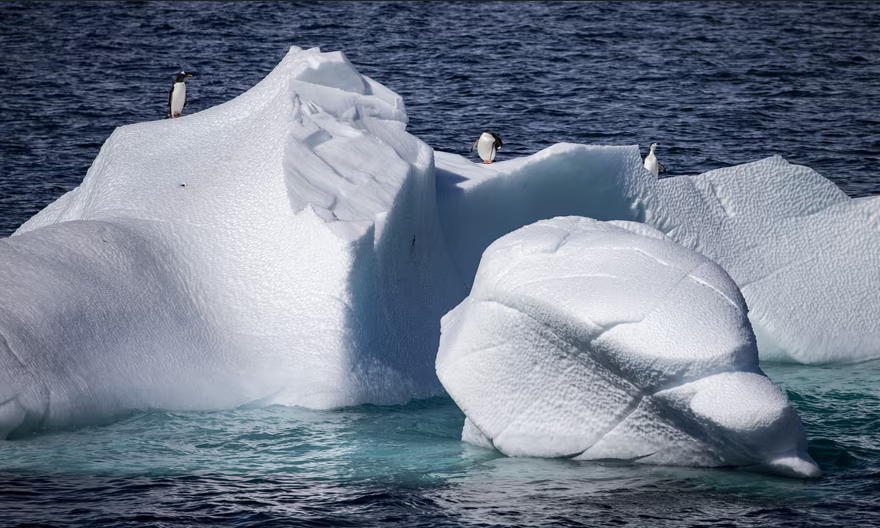Antarctic