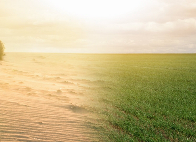 Combating Desertification: New Technologies Offer a Solution