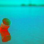 Paper and Plastic Cups: Are They Equally Bad for the Environment?