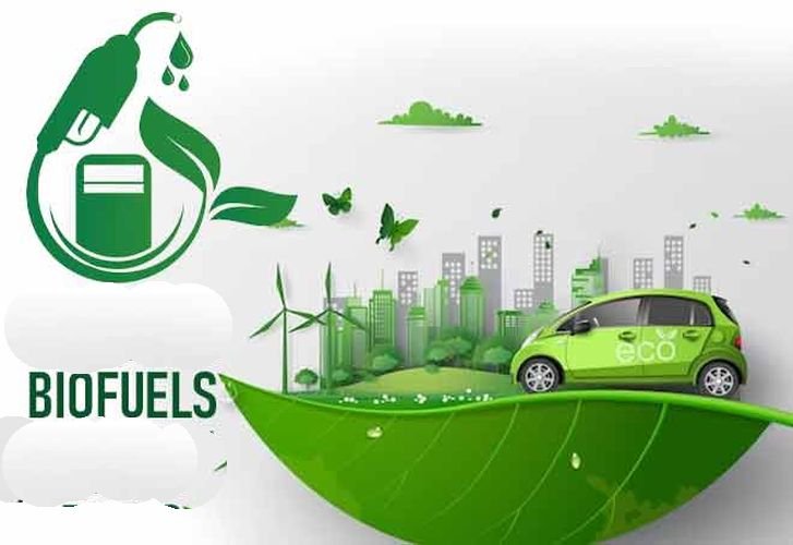Biogas