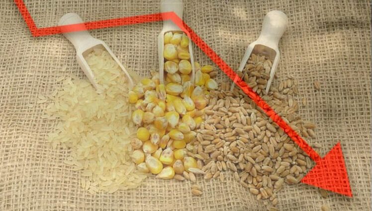 Europe Sees A Significantly Decline In Cereal Production