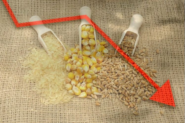 Europe Sees A Significantly Decline In Cereal Production