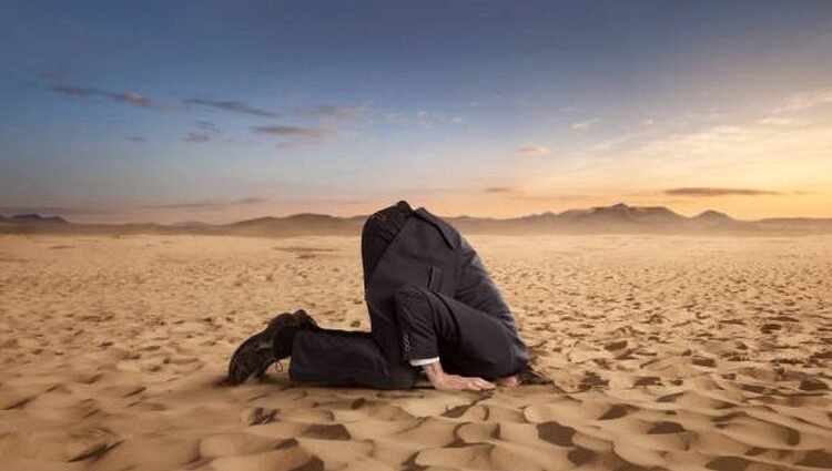 COP28: Full Of Crap And Greenwashing In The Desert