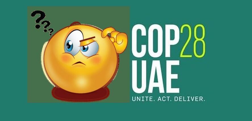 Has COP28's Fossil Fuel Language Translated To Action?