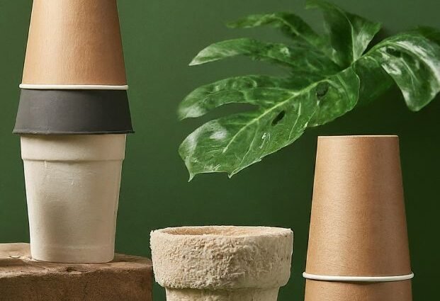 Beyond Styrofoam: Eco-Friendly Alternatives For Disposable Cups