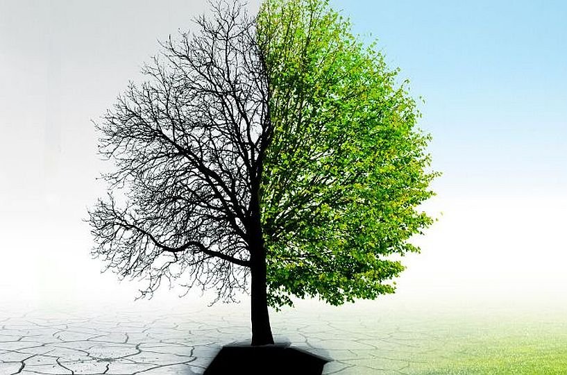 India faces a significant challenge: underinvestment in climate adaptation.