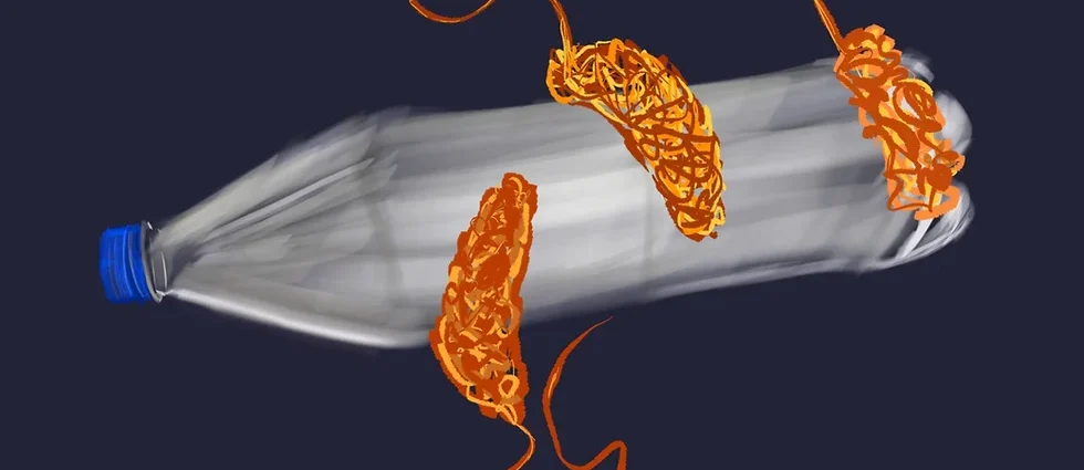 plastic-eating bacteria
