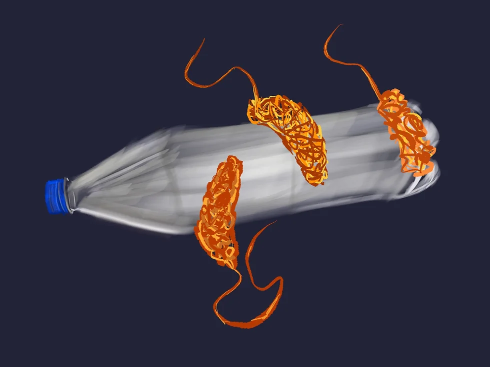 plastic-eating bacteria