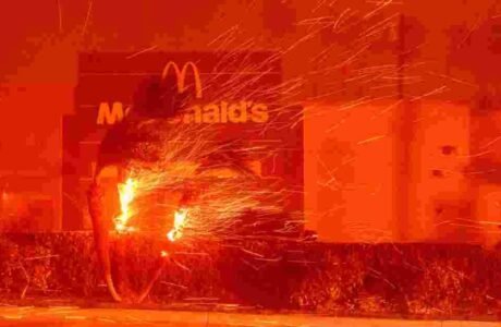 wildfires