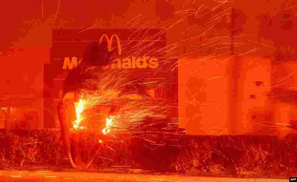 wildfires