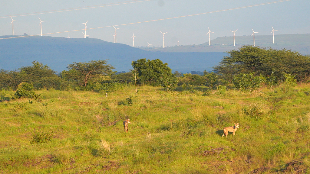 India renewable energy environmental trade-offs