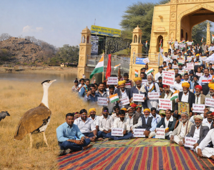 Rajasthan, Sacred Groves, Clean Energy