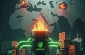 palm oil biodiesel demand