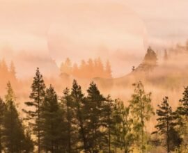 global climate 2025 WMO report