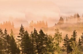 global climate 2025 WMO report