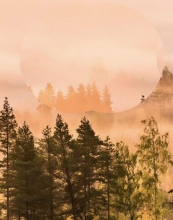 global climate 2025 WMO report