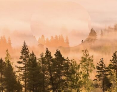 global climate 2025 WMO report