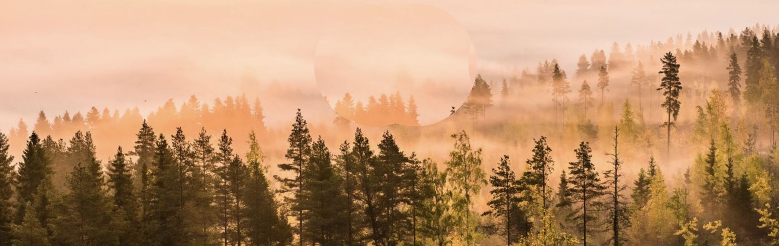 global climate 2025 WMO report