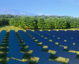 vertical solar panels