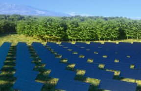 vertical solar panels