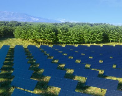 vertical solar panels