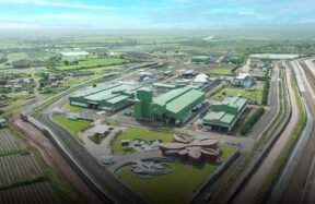 India bioenergy capacity