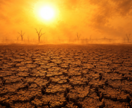 "El Niño 2026 India impact — drought risk map for Indian states"