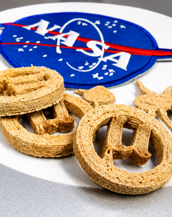 plastic waste edible cookies
